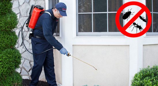 Adilcevaz Hamam Böceği İlaçlama böcek ilaçlama ve haşere kontrolü — ilaclama-tr.com